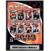 2009 Cincinnati Bengals 9x12 Plaque