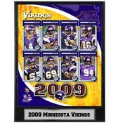 2009 Minnesota Vikings 9x12 Plaque
