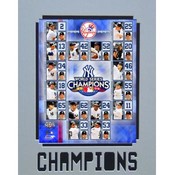 2009 New York Yankees World Champions Mat
