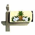 Magnetic Mailbox Cover - Pineapple