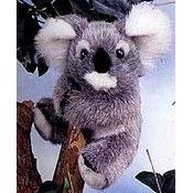 6" Koala