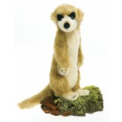 10.5"  Plush Meerkat