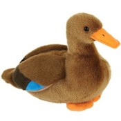 12" Wild Duck