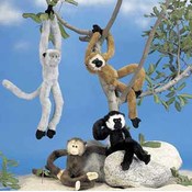 16" Long Legged Monkeys Plush