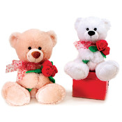 13" 2 Assorted Bears Holding Rose Bouquet