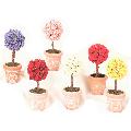 Small Rose Ball With Pot Assorted