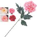 31" Big Peony Assorted