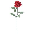 26" Red Rose