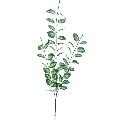 33" Green Leaves