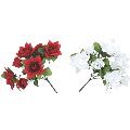 7 Flower ROSE BUSH