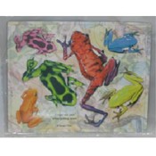 Humanities Frog Magnets Assorted