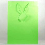 Solid Color Jumbo Giftbags 12 Assorted Colors