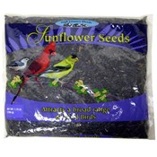 Black Oil Sunflower Seed