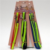 Spunkeez Leash Safety Stripe 5/8 x 48" Small Clasp