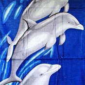 Beach Towel Fiber Reactive