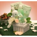 Spa Delights Aromatherapy Bath Gift Basket