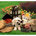 Patches Doggie Tower