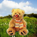 Butterfly Kisses Bear