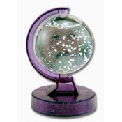 Purple Spinner Water Snow Globe Picture Frame