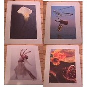 Signed Prints by Harvey Edward