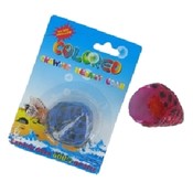 Growing Hermit Crabs