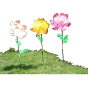 Spinning Garden Roses