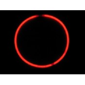 Orange Solid Colored 22" Glo Necklaces