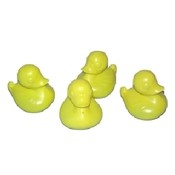 Molded Plastic Ducks
