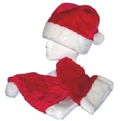 Santa Hat Large