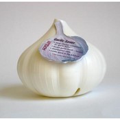 Garlic Saver Floor Display