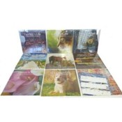 2010 16-Month Wall Calendar