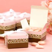 Pink and Brown Floral Stripe Favor Boxes