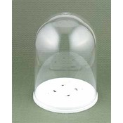 Cake Top Dome
