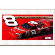 Nascar Dale Earnhardt Jr. Beach Towel