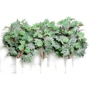 Printed Foliage Asst.