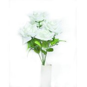 Diamond Rose Bush-white Only