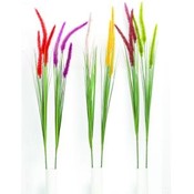 Cattails Spray