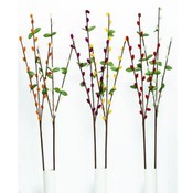 Pussy Willow Spray
