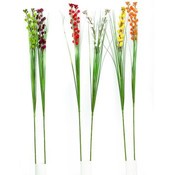 Long Willow Grass Stem