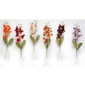 Fall Orchid Stem