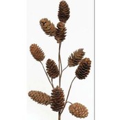 Christmas Acorn Spray