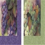 16 Pack Beverage Napkin - Winery