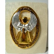 Guardian Angel Visor Clip