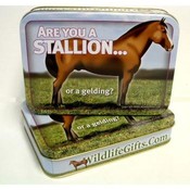 Horse Rectangle Tin