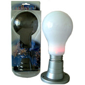 Multi Color Light Bulb in Base