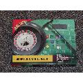 Las Vegas Style Roulette Game with 10" Wheel