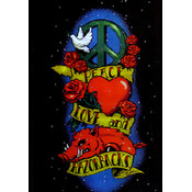 University Of Arkansas Adult 'Glamour T' Blk Tatto