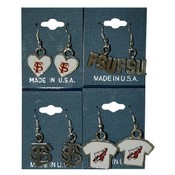 Florida State Jewelry Earrings Assorted