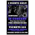 Nirvana-Buzzcocks Rock Concert Poster