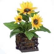 11" Sunflower in Square Wood Planter
